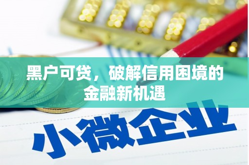 安平黑户可贷，破解信用困境的金融新机遇