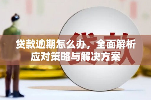 安平贷款逾期怎么办，全面解析应对策略与解决方案