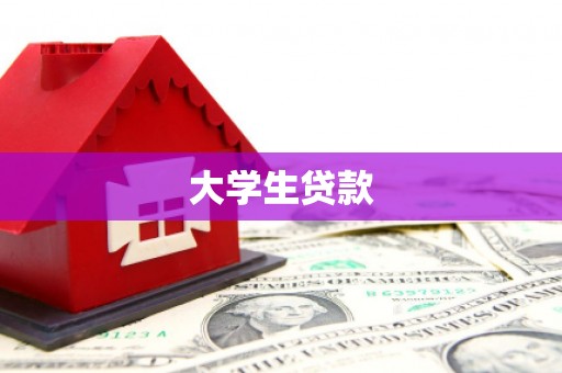 安平大学生贷款